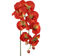 33.5" PHAL 9FL (2/PC BAG) - Orange