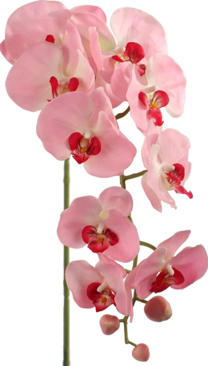 33.5" PHAL 9FL (2/PC BAG) - Pink