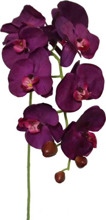 33.5" PHAL 9FL (2/PC BAG) - Purple