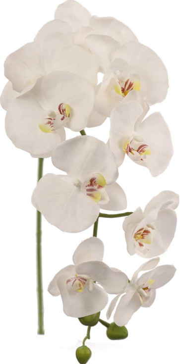 33.5" PHAL 9FL (2/PC BAG)