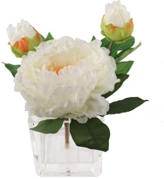 PRE-MADE PEONY - Cream