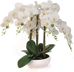 19"x13" White Phalaenopsis Orchid Arrangement in White Bowl - Elegant Faux Floral Display for Home and Office Decor - Larksilk