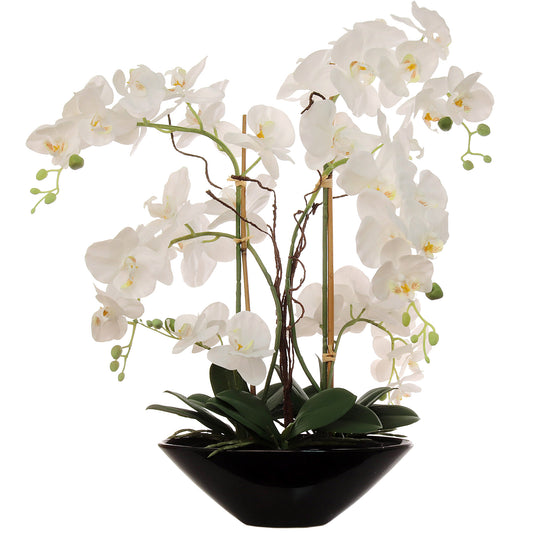 White Phalaenopsis Orchid Arrangement in Ceramic Vase - 23"