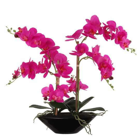 Fuchsia Phalaenopsis Orchid Arrangement in Black Ceramic Vase - 21"