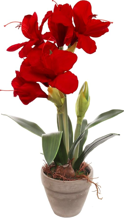 19"VELVT AMARYLLIS /POT - RED