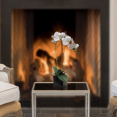 Elegant White Phalaenopsis Orchid in 5" Black Cubed Pot,  Floral Accent Ideal for Home, Office, and Event Decor - Larksilk