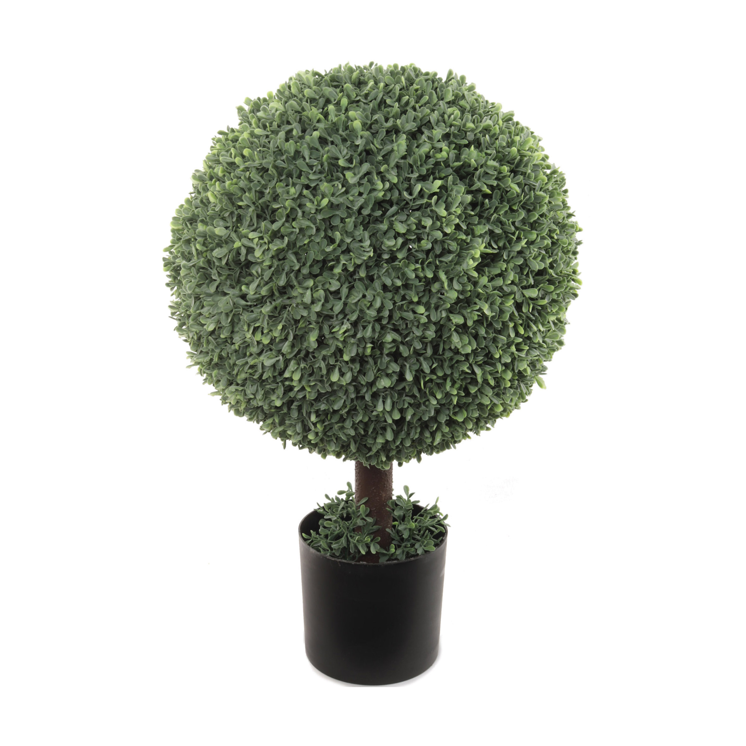 25" Boxwood Ball Topiary Tree in Black Pot - Larksilk
