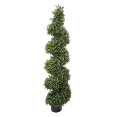 5ft Boxwood Spiral Topiary Tree in Black Pot
