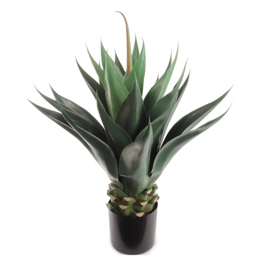 35.4" Agave Succulent Plant in Black Pot (24LVS)