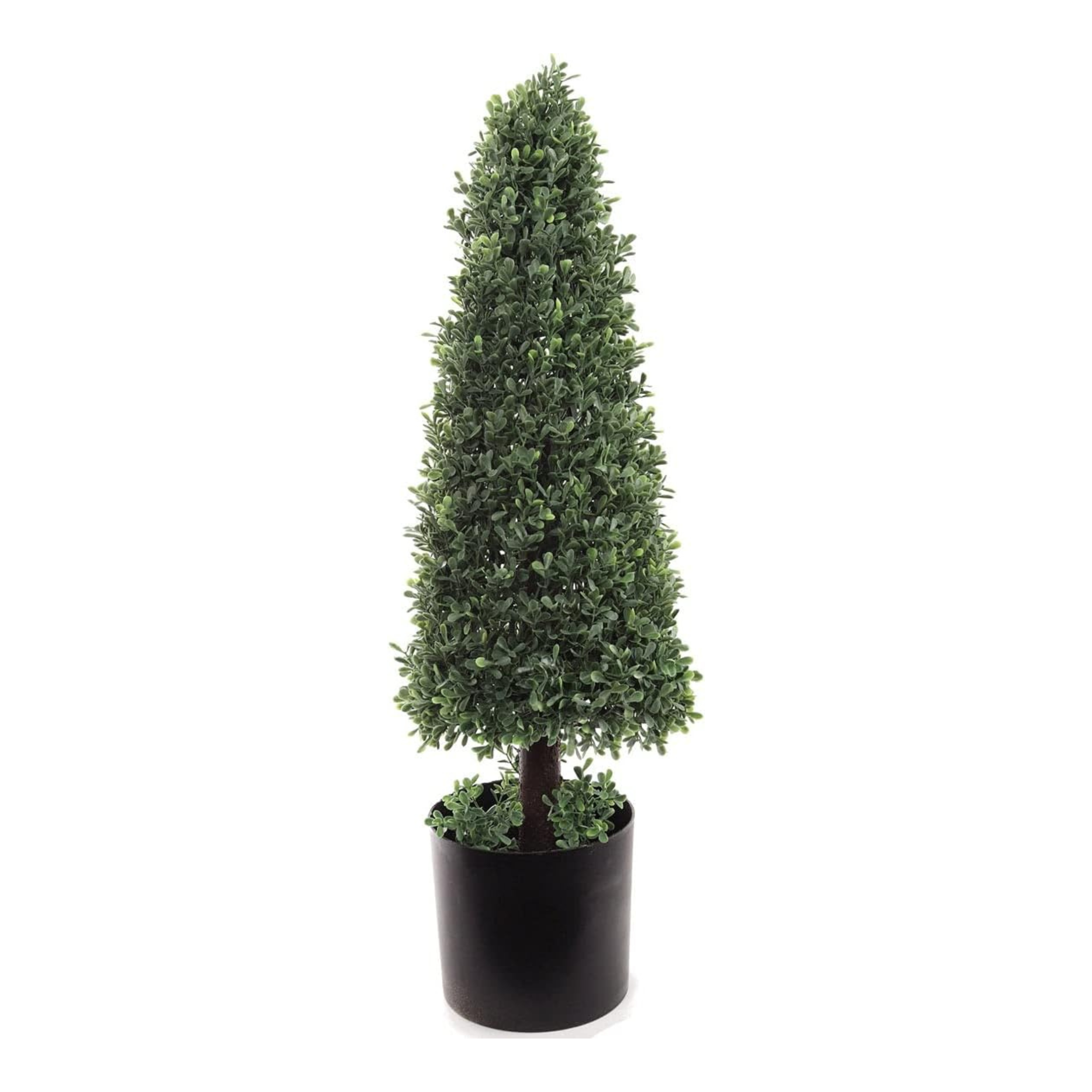 plant pots for topiary trees 30" Boxwood Cone Topiary Tree in Black Pot