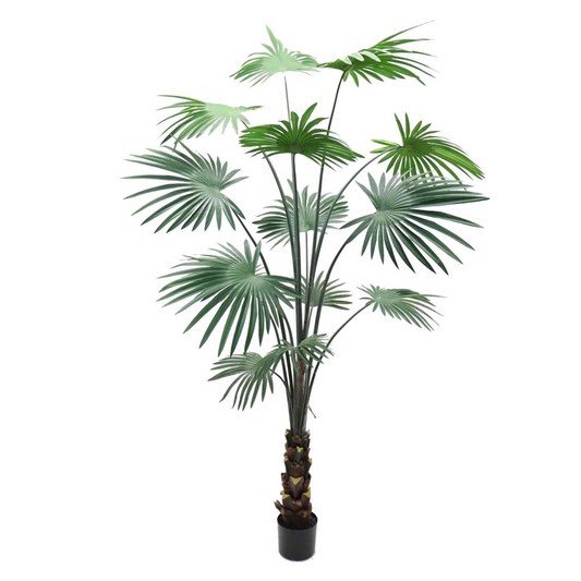 7ft Fan Palm Tree in Black Pot w/ 14 Silk Leaves