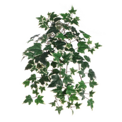 Variegated English Ivy Bush W/ 117 Silk Leaves - 23" Long