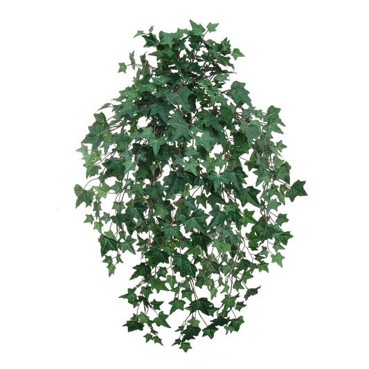 English Ivy Bush w/ 530 Silk Leaves - 33" Long
