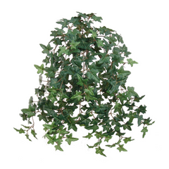 Mini English Ivy Bush w / 274 Silk Leaves - 20" Long