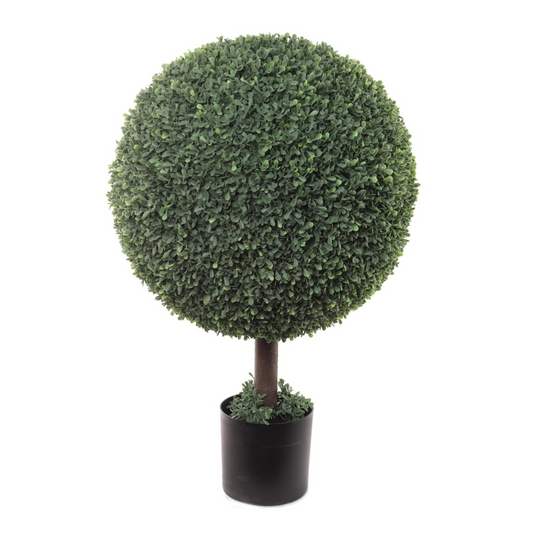 31" Boxwood Ball Topiary Tree in Black Pot