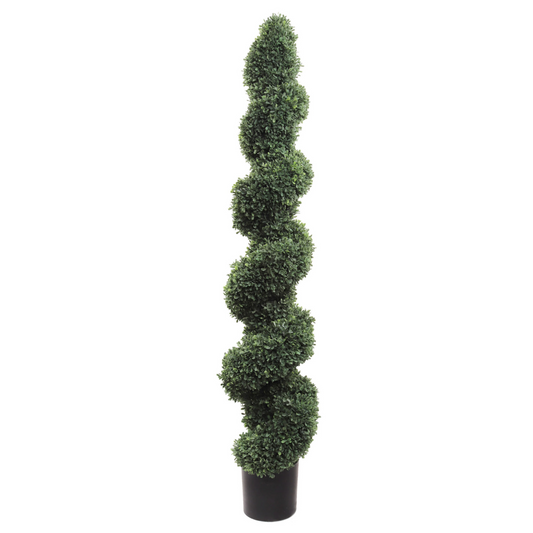 58" Spiral Boxwood Topiary Tree in Black Pot