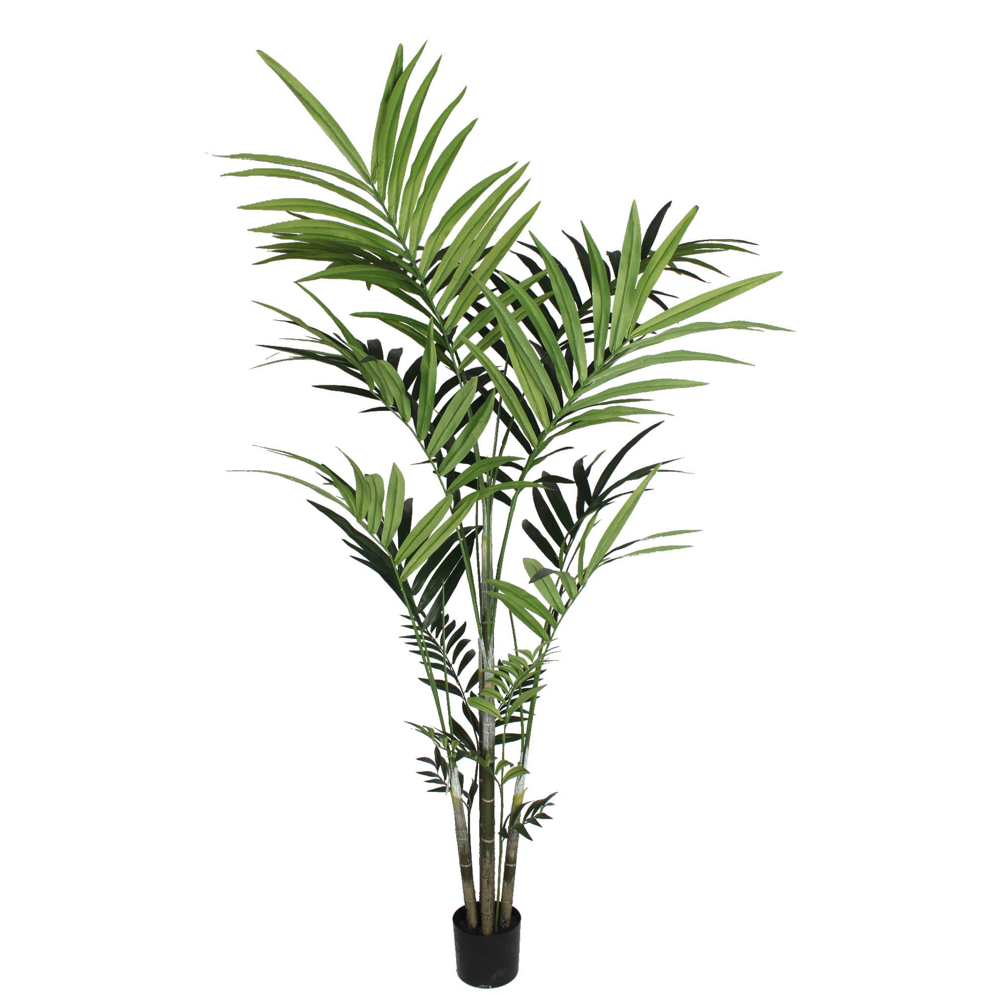 6ft palm plant 6ft Kentia Palm Tree in Black Pot w/ 191 Silk Leaves - 2026 Spring Collection