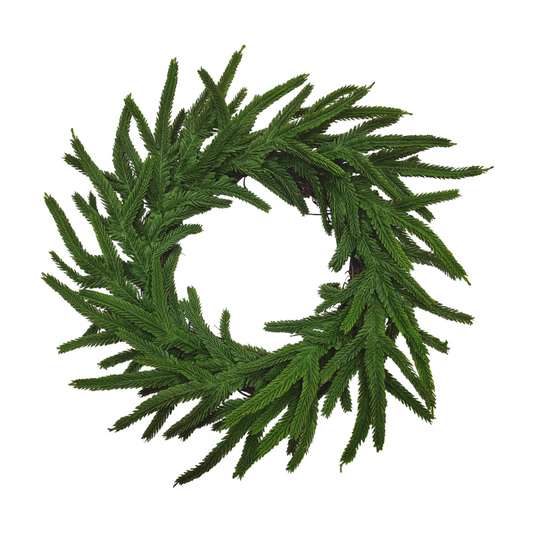 14" Norfolk Pine Wreath