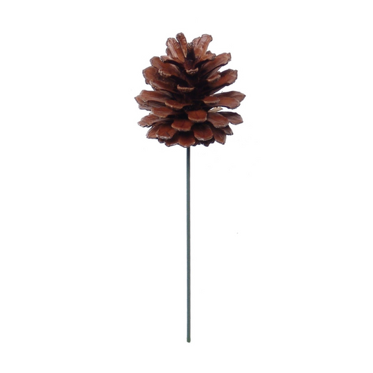 2.5" Lacquered Pine Cone Pick