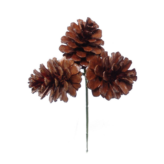 1.5" Lacquered Pine Cone Pick - x3 Cones