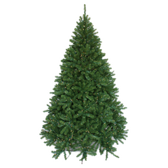 9' Northern Spruce Tree - 2143 Green Tips