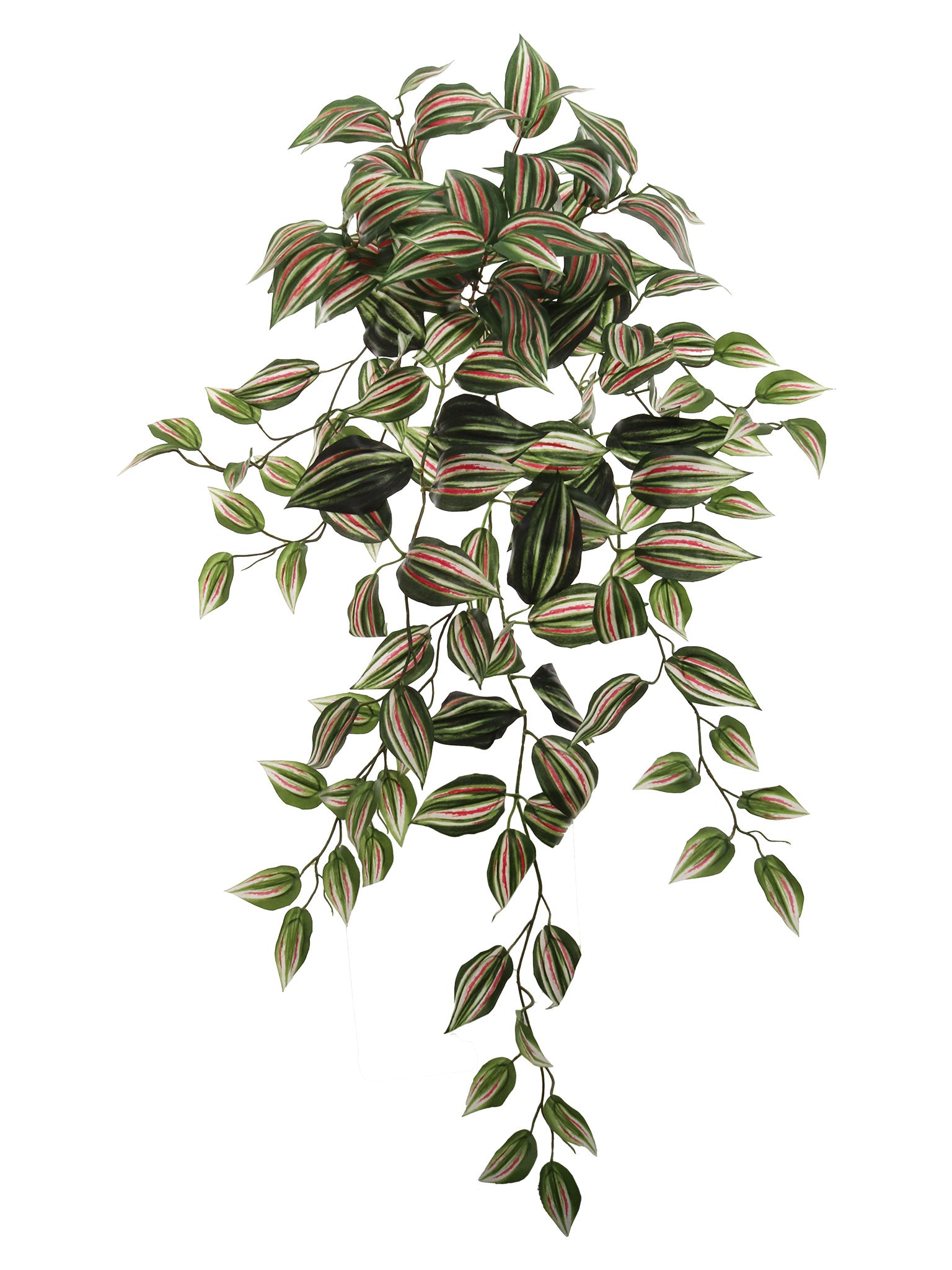 hanging bush plant 36" Tradescantia Hanging Bush with 136 Leaves