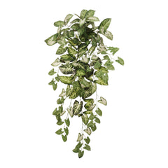 Hanging Nephtytis Bush - 36" - Larksilk
