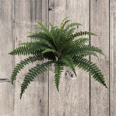 Boston Fern Plant with 30 Silk Fronds - 34" Wide