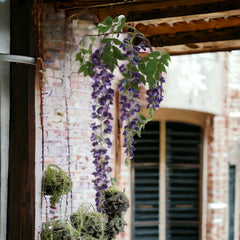 Hanging Wisteria Branch Spray - 70" - Larksilk
