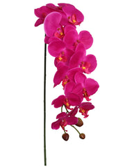 43” PHALAENOPSIS W/ 12 FLOWERS - Larksilk