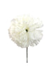 Cream White