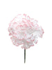 Peppermint