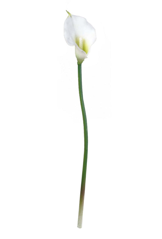 18" RUBBER CALLA LILY - Cream