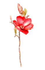 14" Burgundy Magnolia Pick – Realistic Artificial Magnolia Flower Stem for Home Decor, Weddings, Floral Arrangements & Seasonal Displays
