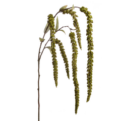 Hanging Amaranthus Spray - 32" - Larksilk