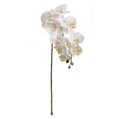 29" Phalaenopsis Orchid Stem