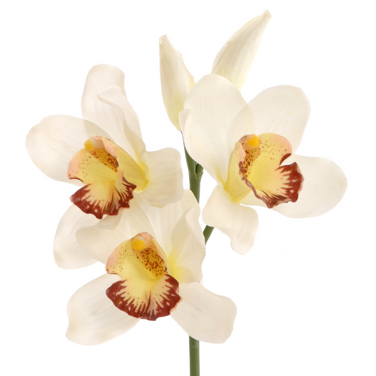 10" Cymbidium Orchid Pick
