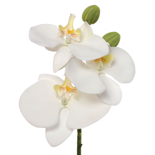 10" Phalaenopsis Orchid Pick