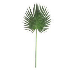 44" Fan Palm Leaf Stem