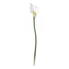 18" Real Touch Calla Lily Stem