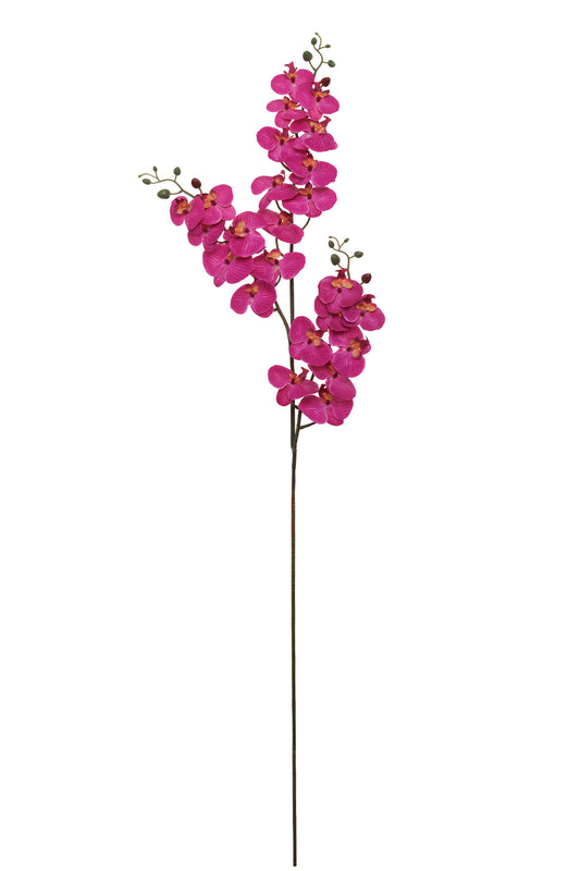 66" Artificial Phalaenopsis Orchid Stem – 3 Branches, 24 Flowers, 18 Buds - Larksilk