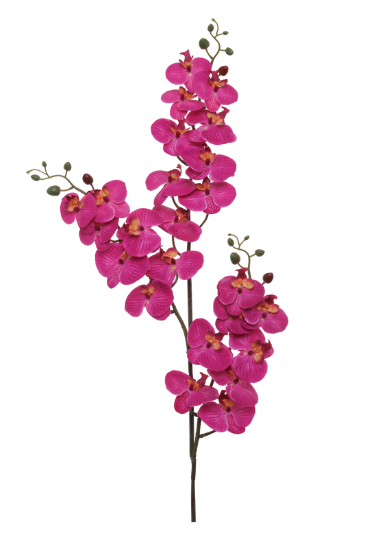 66" Artificial Phalaenopsis Orchid Stem – 3 Branches, 24 Flowers, 18 Buds - Larksilk