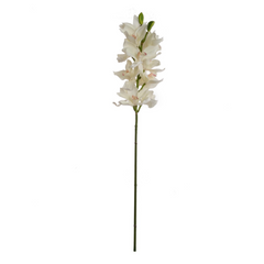 38" Cymbidium Orchid Stem