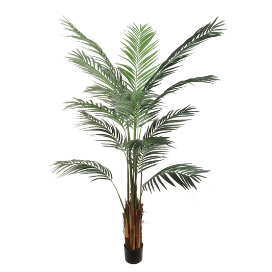 6ft Areca Palm Tree in Black Pot w/ 15 Silk Fronds