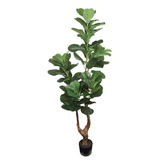 65" Fiddle Leaf Fig Tree in Black Pot w/ Silk Leaves