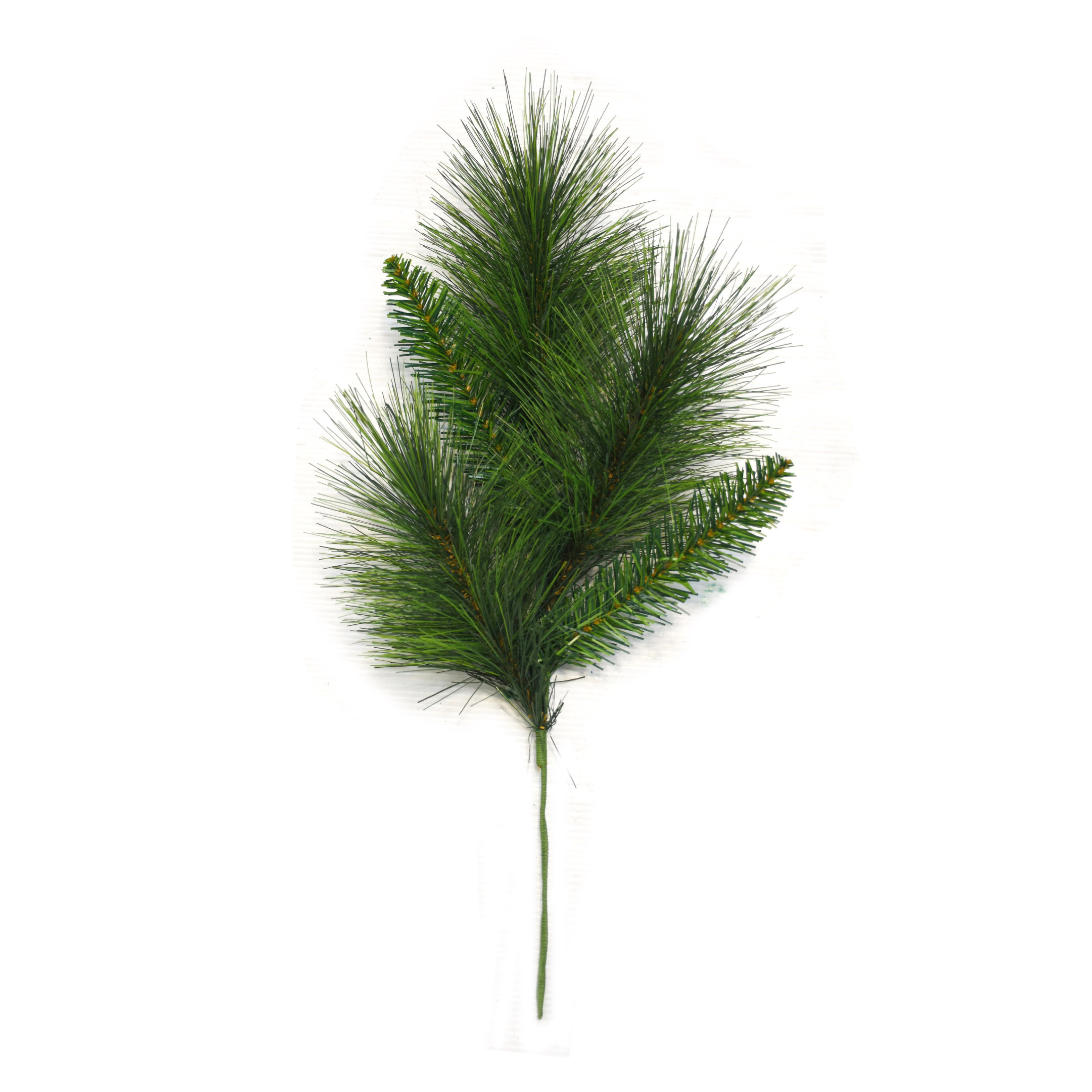 Longneedle Pine Spray - 5 Green Tips 2024 Christmas Collection - Larksilk