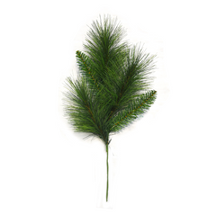 Longneedle Pine Spray - 5 Green Tips 2024 Christmas Collection - Larksilk