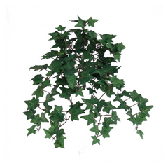 Mini English Ivy Bush w/ 176 Silk Leaves - 13" Long
