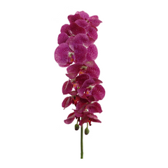 41" Phalaenopsis Orchid Stem