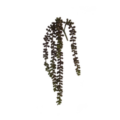 16.5" Hanging Bead Succulent Plant